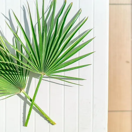 Martini 호텔 리그나노 사비아도로